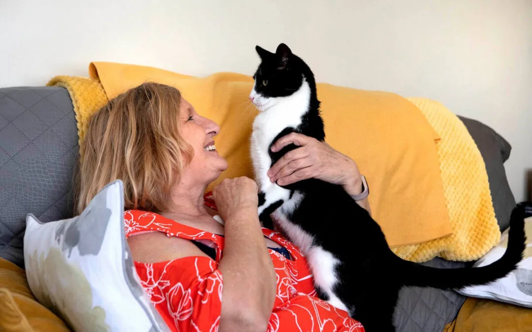 Zebby – The Amazing Story of the UK Cat of the Year!