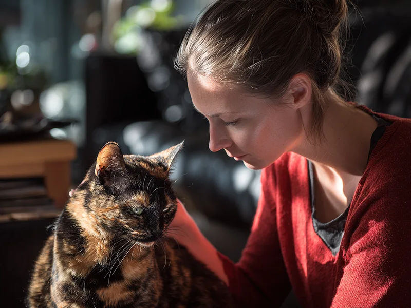 A Peak Into Pet Insurance